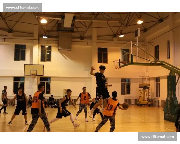 基于多维数据分析的篮球球队竞技状态综合判断模型构建与应用探索